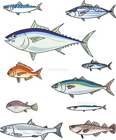 石垣島　釣れる魚